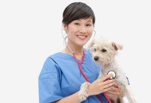 寵物照顧員每日手冊