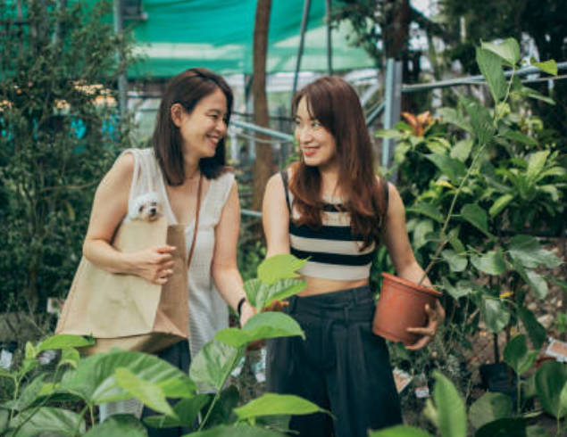 園藝治療師是什麼？如何成為園藝治療師？帶你了解療愈身心的職業 
  
