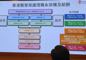 香港醫管局護理職系架構及薪酬
