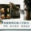 澳洲物理治療大學排名2026：課程、學費、收分與執業前景指南